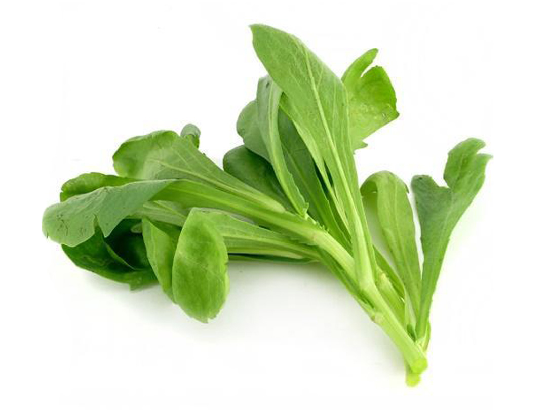 上海市食品安全信息追溯平台